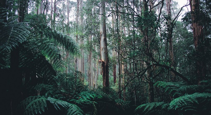 Image courtesy of Tourism Victoria