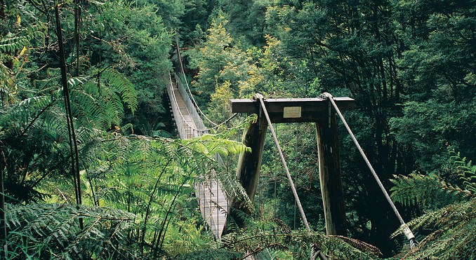 Image courtesy of Tourism Victoria
