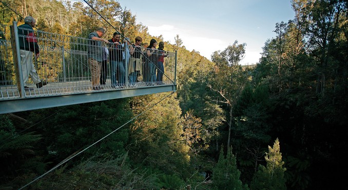 Image courtesy of Tourism Tasmania