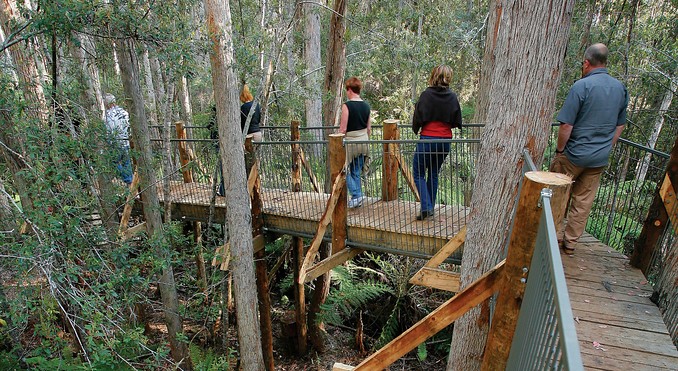 Image courtesy of Tourism Tasmania