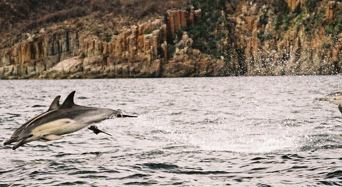 Tourism Tasmania and Kim Rumbold