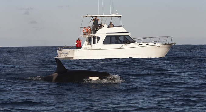 Image courtesy of Tourism Tasmania