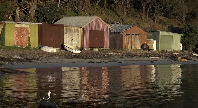 Image courtesy of Tourism Tasmania