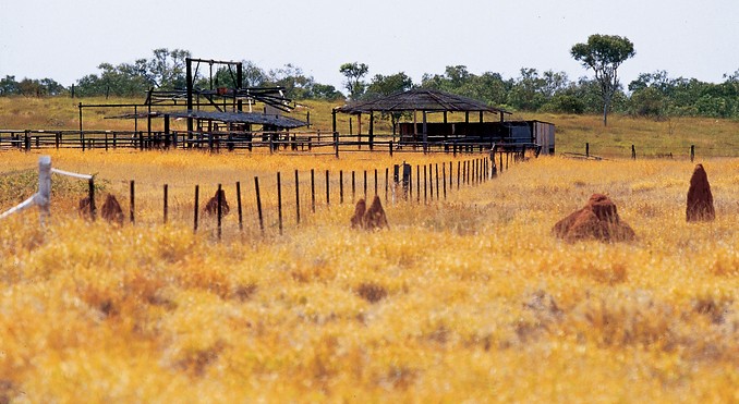 Image courtesy of Tourism NT