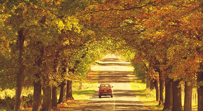 Image courtesy of Tourism New South Wales