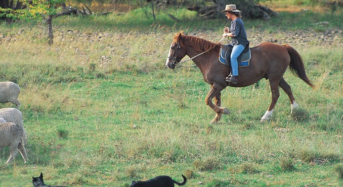 Image courtesy of Tourism New South Wales