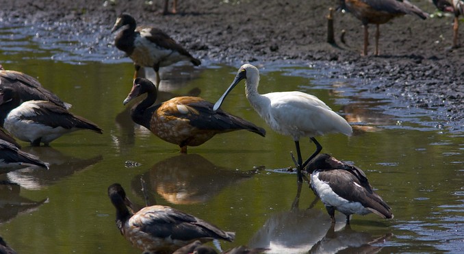 Image courtesy of Tourism NT