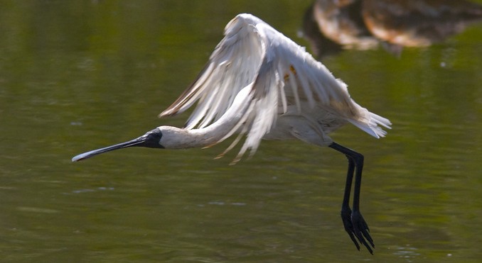Image courtesy of Tourism NT