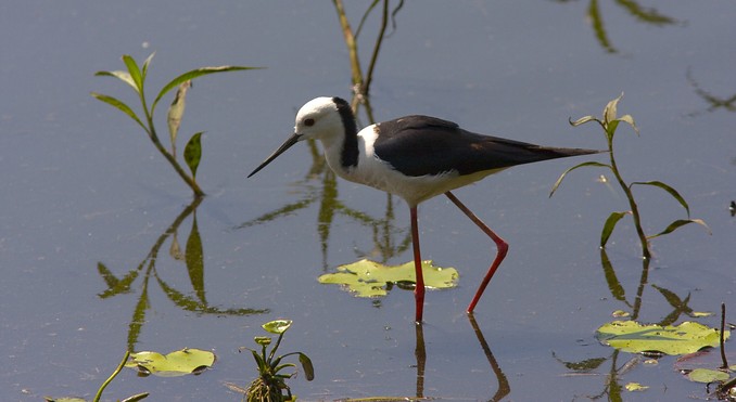 Image courtesy of Tourism NT