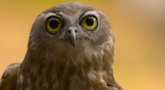 Image courtesy of Tourism NT