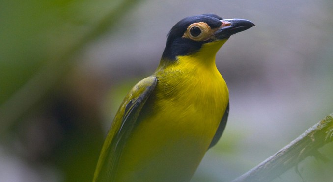 Image courtesy of Tourism NT