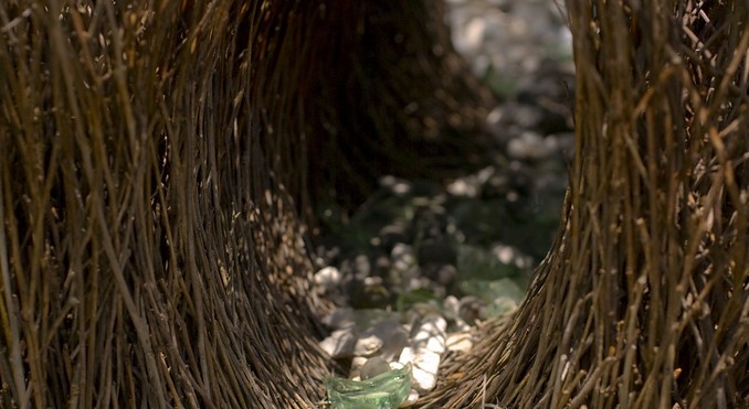 Image courtesy of Tourism NT