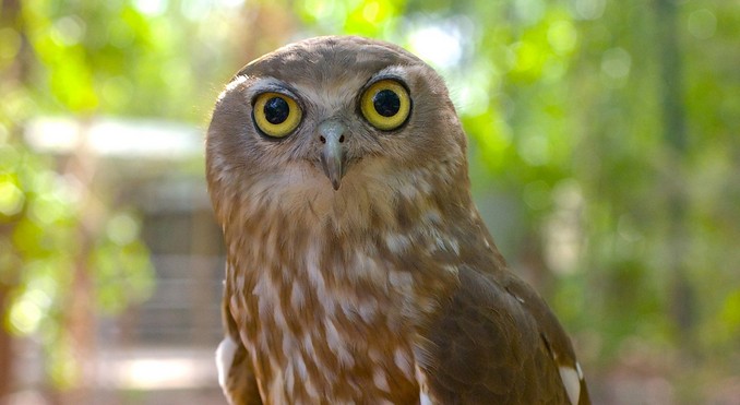 Image courtesy of Tourism NT