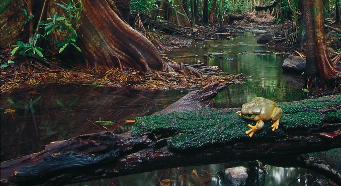 Image courtesy of Tourism NT