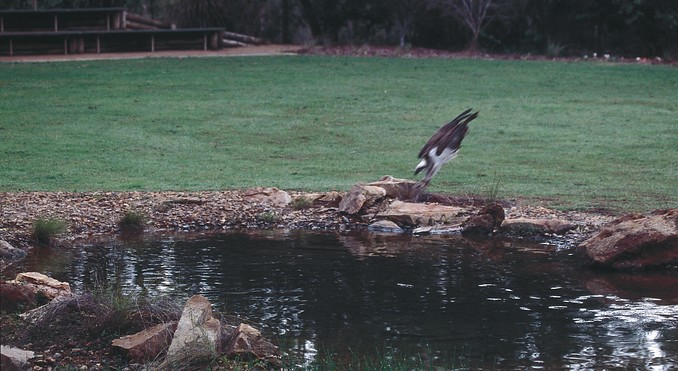 Image courtesy of Tourism NT