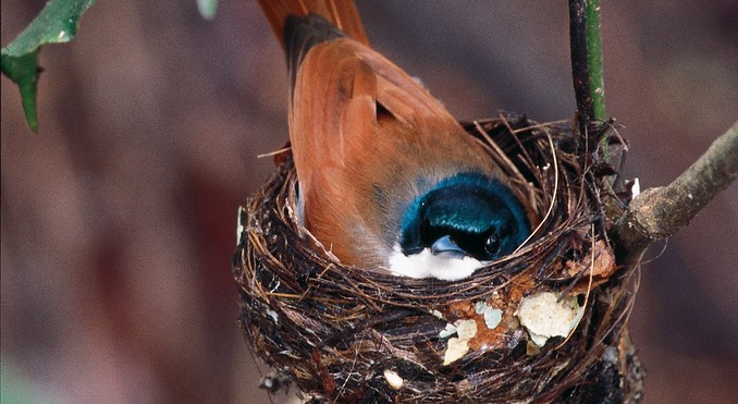 Image courtesy of Tourism NT