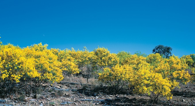 Image courtesy of Tourism Queensland