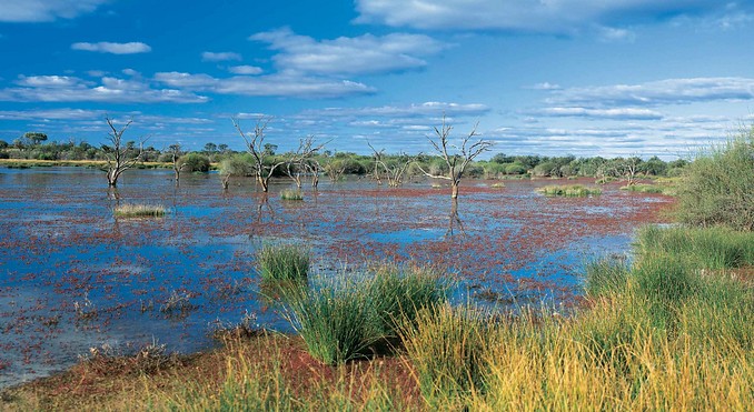 Image courtesy of Tourism Queensland