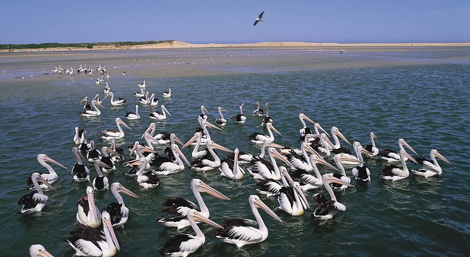 Image courtesy of Tourism New South Wales