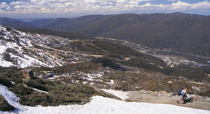 Image courtesy of Tourism New South Wales