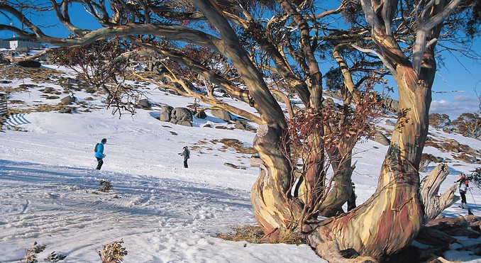 Image courtesy of Tourism New South Wales