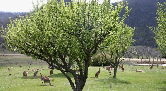 Image courtesy of ACT Tourism