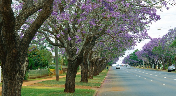 Image courtesy of Tourism Queensland
