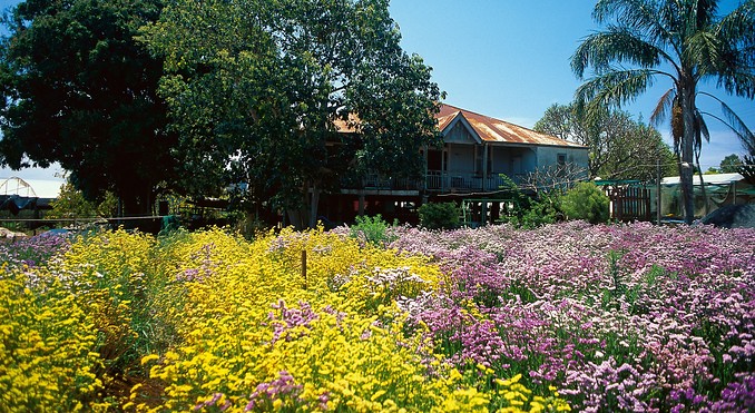 Image courtesy of Tourism Queensland