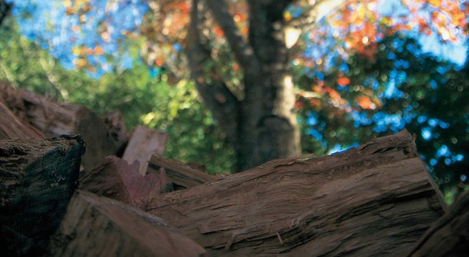 Image courtesy of Tourism Queensland