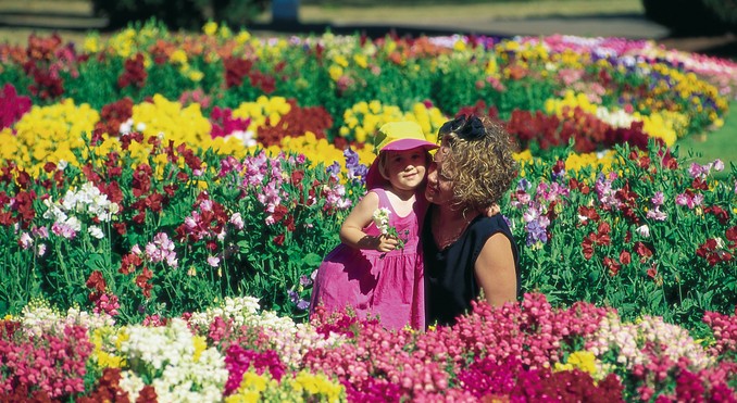 Image courtesy of Tourism Queensland