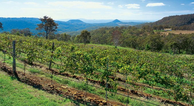 Image courtesy of Tourism Queensland