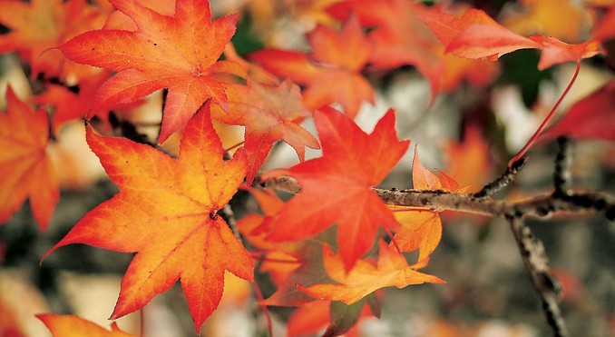 Image courtesy of Tourism Queensland