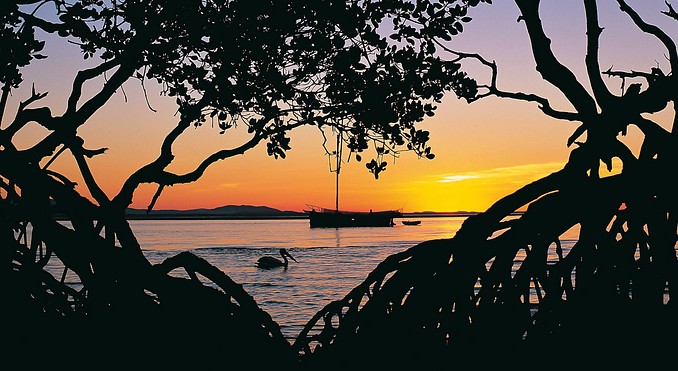 Image courtesy of Tourism Queensland