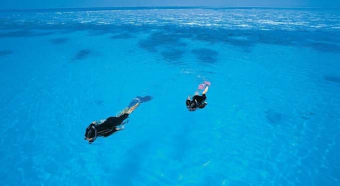 Image courtesy of Tourism Queensland
