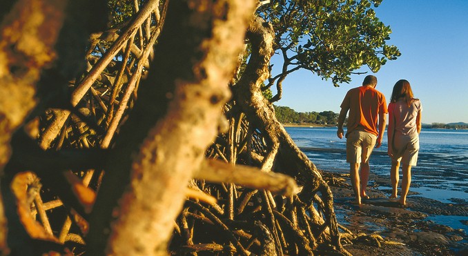 Image courtesy of Tourism Queensland