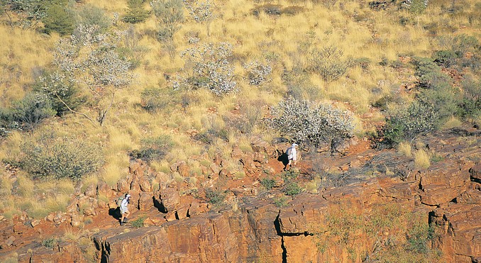 Image courtesy of Tourism NT