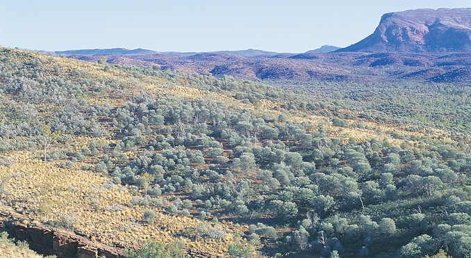 Image courtesy of Tourism NT