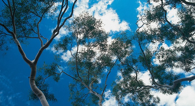 Image courtesy of Tourism NT