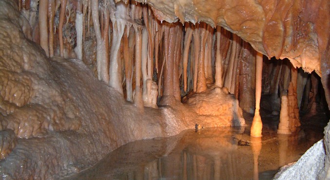 Image courtesy of Tourism New South Wales