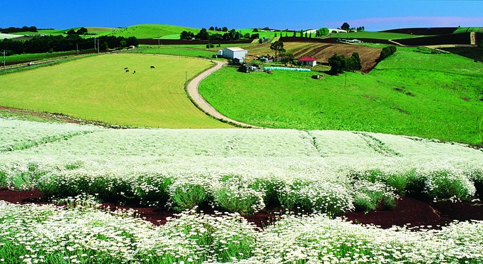 Image courtesy of Tourism Tasmania