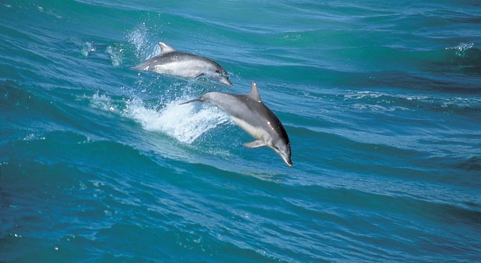 Image courtesy of South Australia