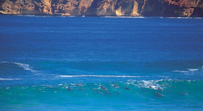 Image courtesy of South Australia