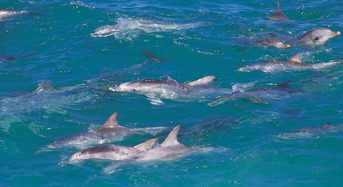 Image courtesy of South Australia