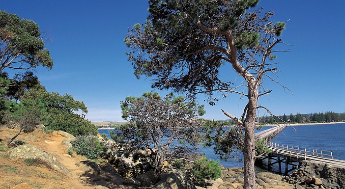 Image courtesy of South Australia