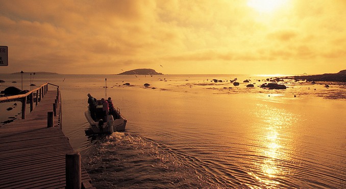 Image courtesy of South Australia
