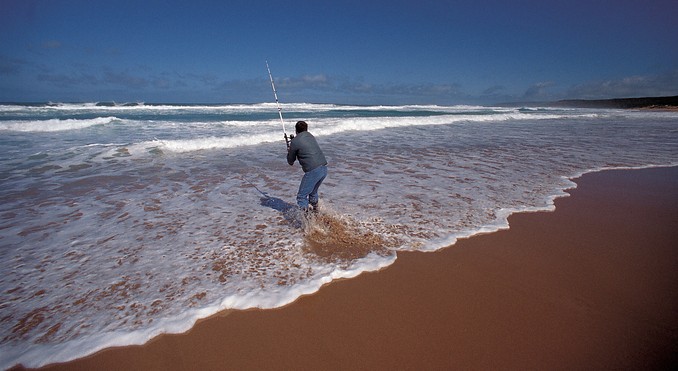 Image courtesy of South Australia