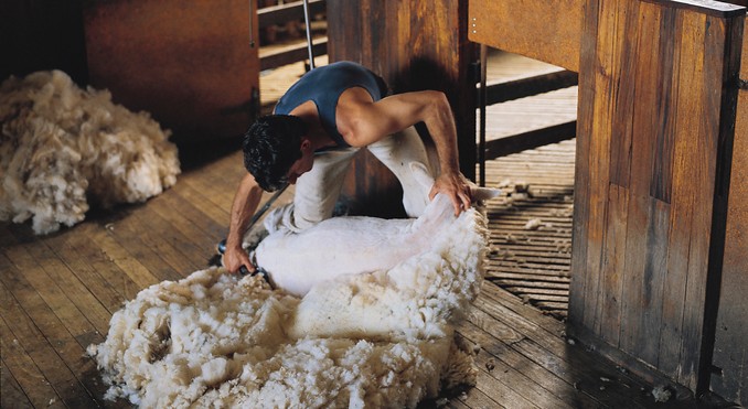 Image courtesy of Tourism New South Wales