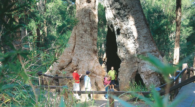 Image courtesy of Western Australia