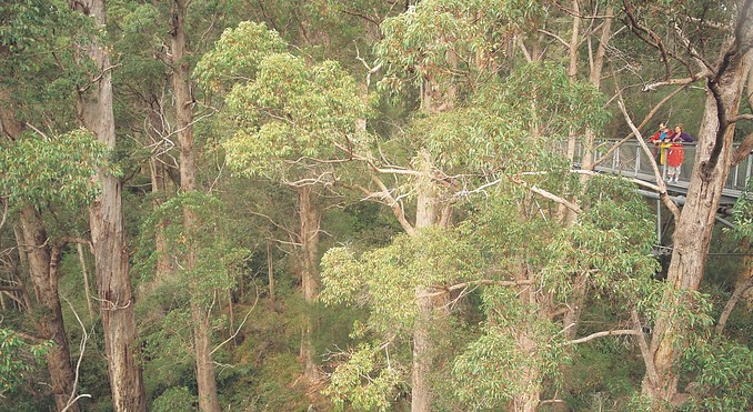 Image courtesy of Western Australia