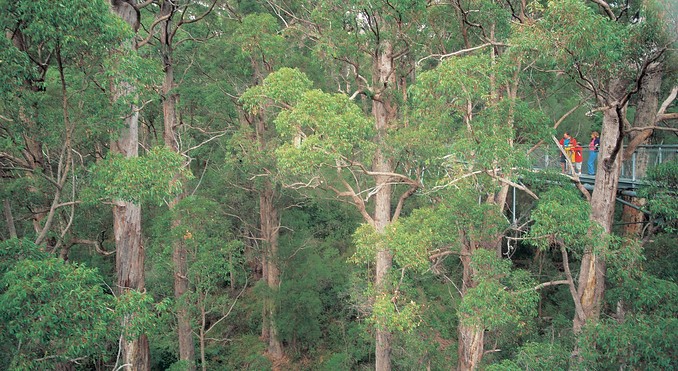 Image courtesy of Western Australia